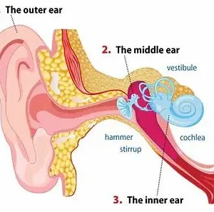 Oveallgo™ Instant Tinnitus Relief Nasal Inhaler