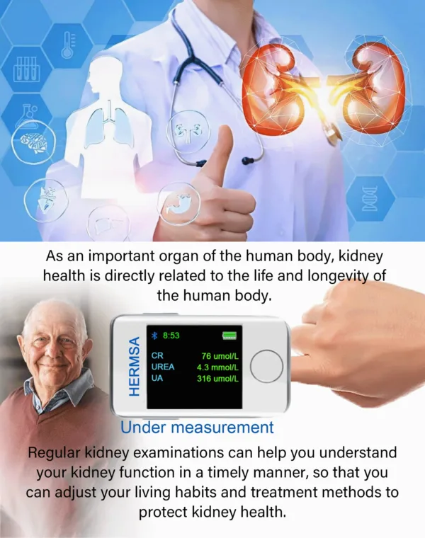 Hermsa™ Blood Glucose Monitor