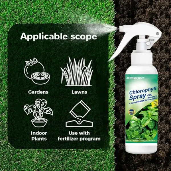 JEREMYTIS™ Chlorophyll Spray