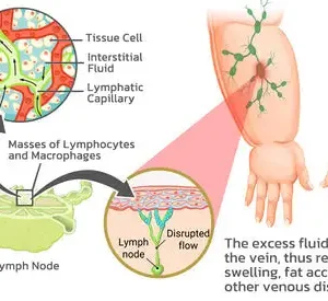 💥Last Day Promotion 60% OFF - 🔥NESLEMY Magnetology Moissanite Diamond Ring💖